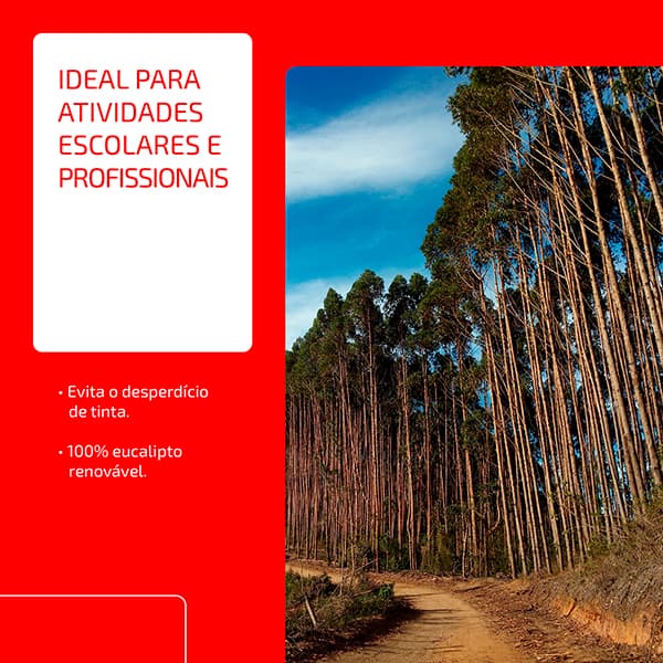 Papel Sulfite Chamex 2500 Folhas